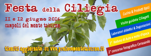 Ciliegia_web_sfondo